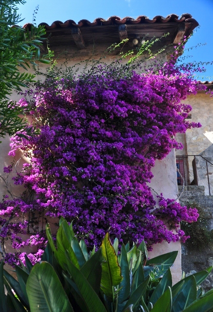 The Carmel Mission